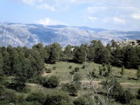 /album/fotogaleria/cimg2691-jpg/