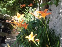 /album/fotogaleria/cimg2726-jpg/