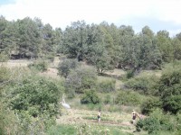 /album/fotogaleria/cimg2735-jpg/