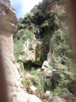 /album/fotogaleria/cimg2884-jpg/